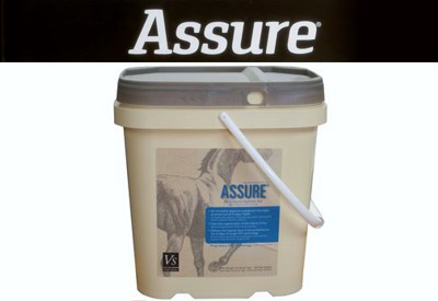 Assure Horse Health Products from Holistic Horsekeeping