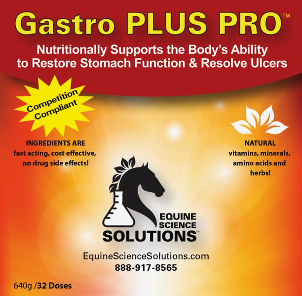 Gastro PLUS PRO - 30 doses