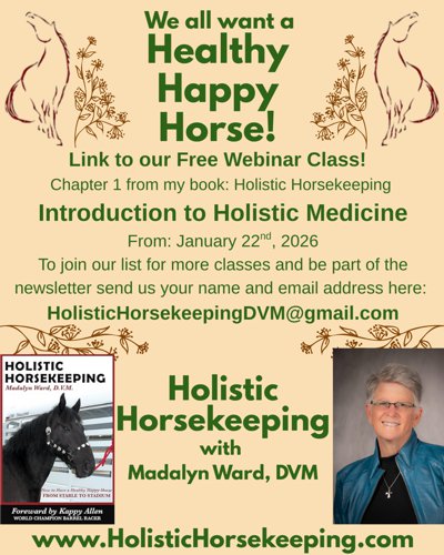 Introduction to Holistic Horsekeeping