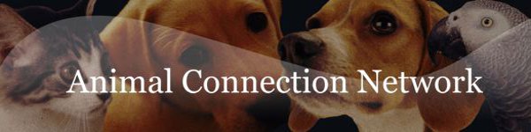 Animal Connection Network