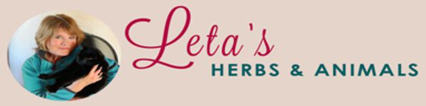 Hill Country Herbs & Animals
