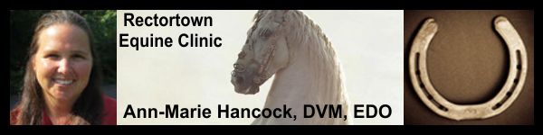 Rectortown Equine – Ann-Marie Hancock, DVM, EDO