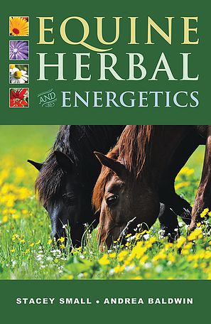 Equine Herbal and Energetics
