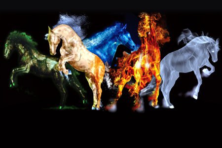 Online Course about Holistic Horse Care